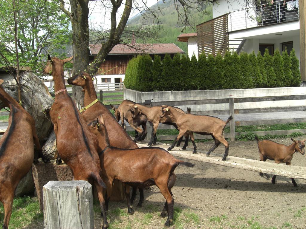 Bauernhof Kuen Villa Langenfeld Luaran gambar